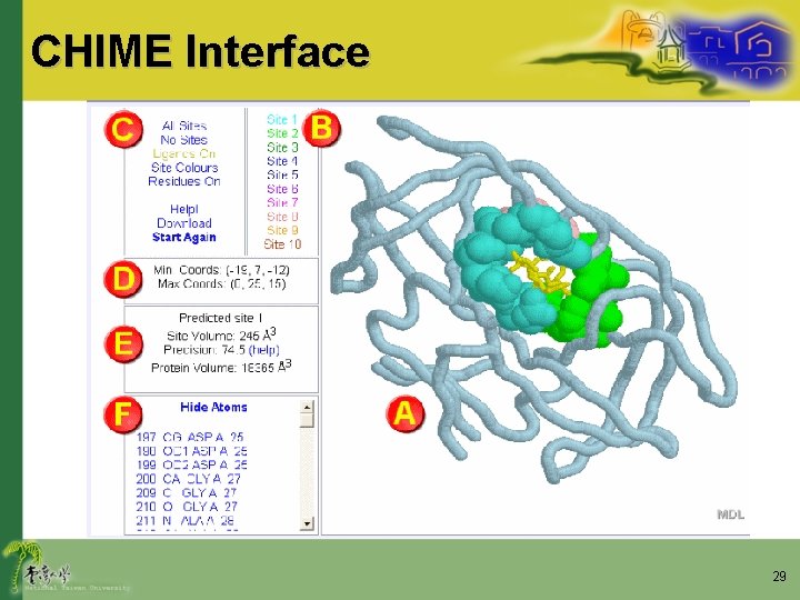 CHIME Interface 29 