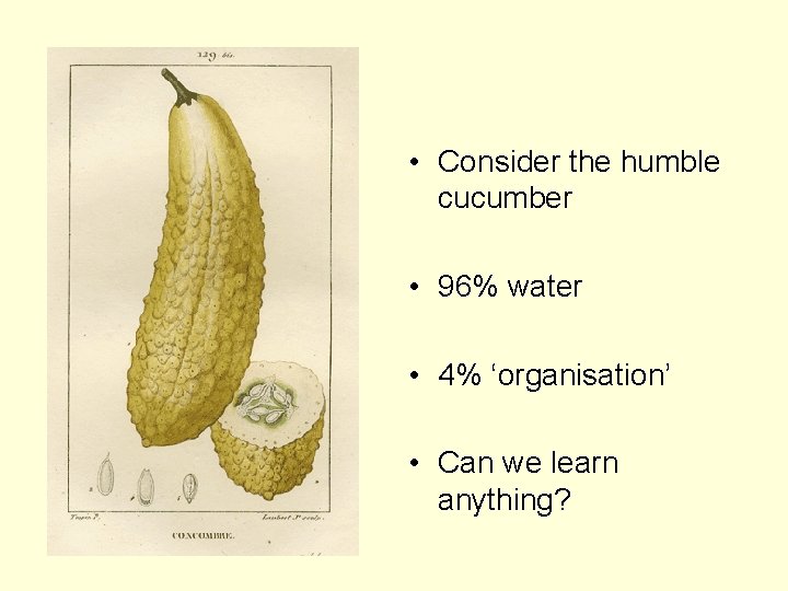  • Consider the humble cucumber • 96% water • 4% ‘organisation’ • Can