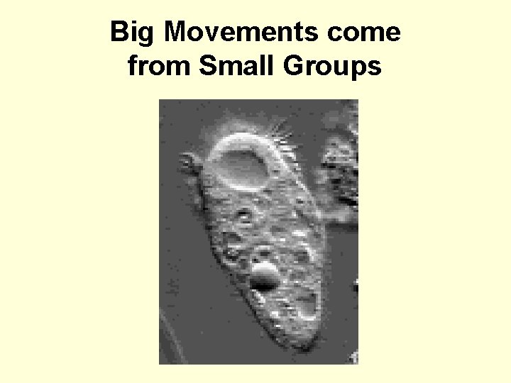 Big Movements come from Small Groups 