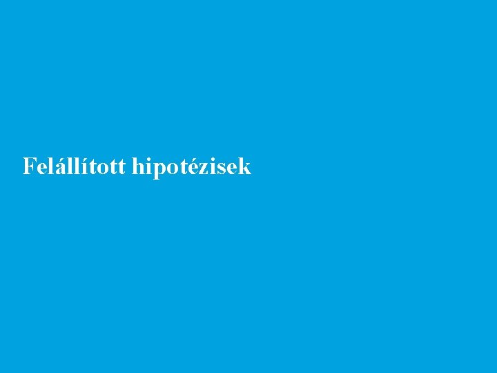 Felállított hipotézisek 