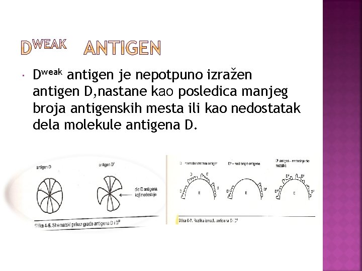  Dweak antigen je nepotpuno izražen antigen D, nastane kao posledica manjeg broja antigenskih