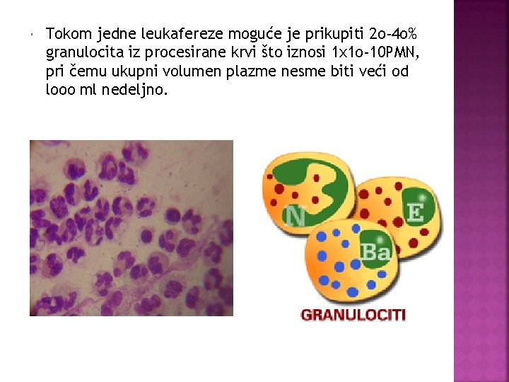  Tokom jedne leukafereze moguće je prikupiti 2 o-4 o% granulocita iz procesirane krvi