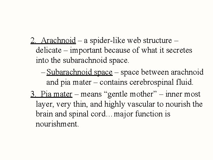 2. Arachnoid – a spider-like web structure – delicate – important because of what