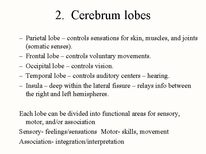 2. Cerebrum lobes – Parietal lobe – controls sensations for skin, muscles, and joints