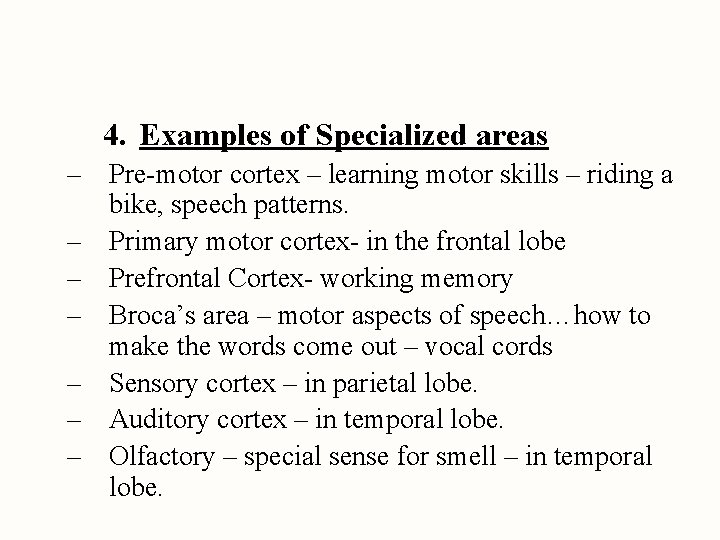 4. Examples of Specialized areas – Pre-motor cortex – learning motor skills – riding