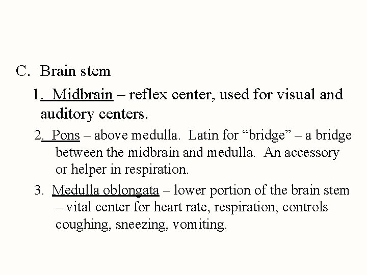 C. Brain stem 1. Midbrain – reflex center, used for visual and auditory centers.