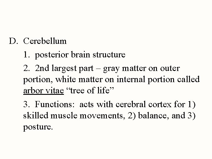 D. Cerebellum 1. posterior brain structure 2. 2 nd largest part – gray matter