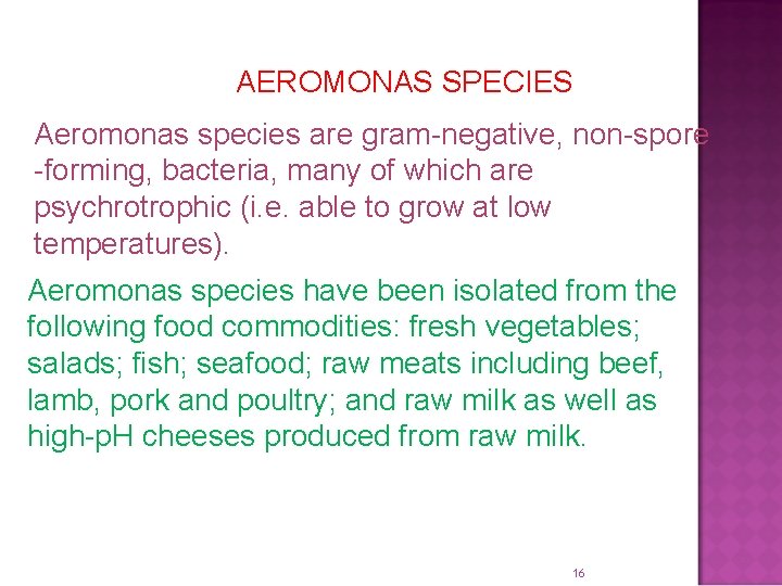 AEROMONAS SPECIES Aeromonas species are gram-negative, non-spore -forming, bacteria, many of which are psychrotrophic