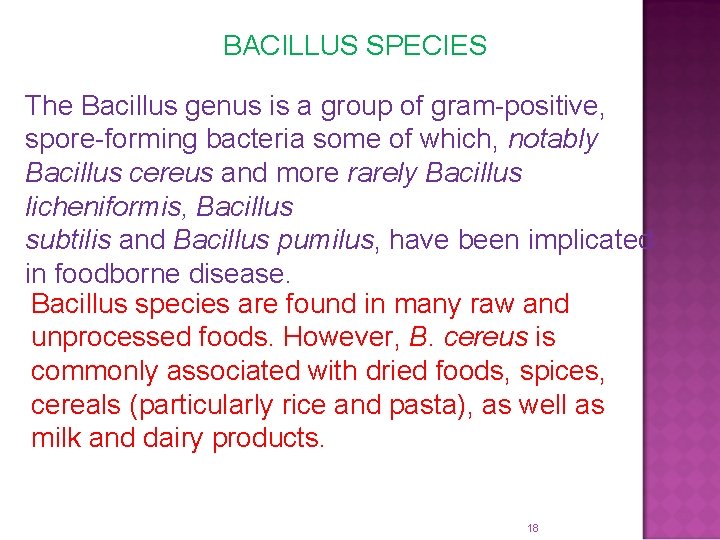 BACILLUS SPECIES The Bacillus genus is a group of gram-positive, spore-forming bacteria some of