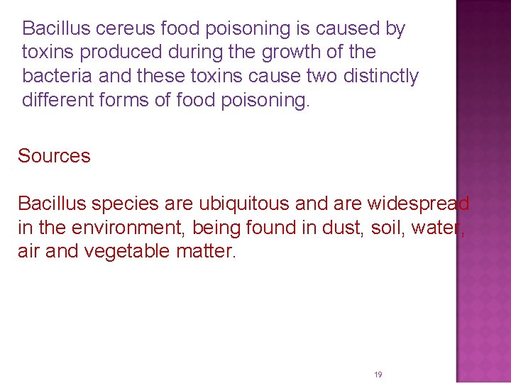 Bacillus cereus food poisoning is caused by toxins produced during the growth of the