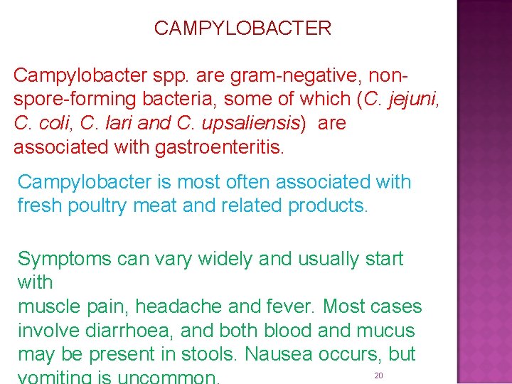 CAMPYLOBACTER Campylobacter spp. are gram-negative, nonspore-forming bacteria, some of which (C. jejuni, C. coli,