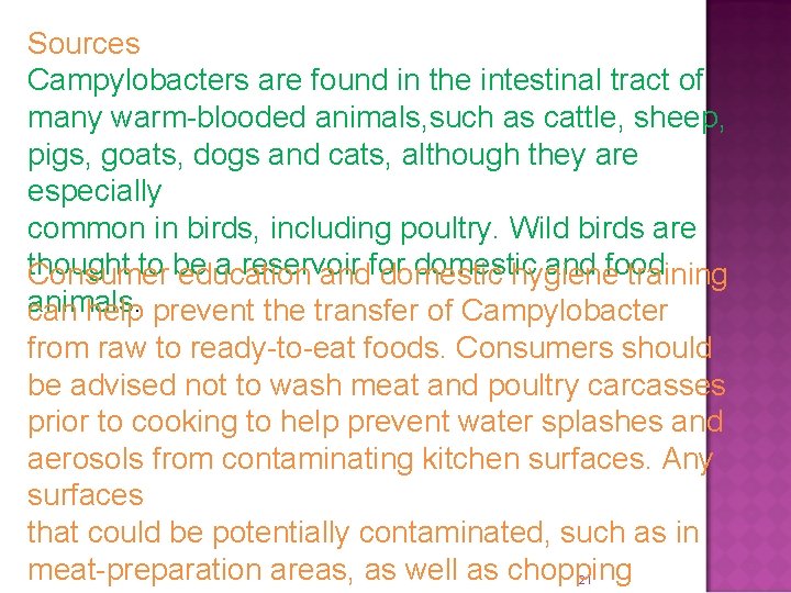 Sources Campylobacters are found in the intestinal tract of many warm-blooded animals, such as