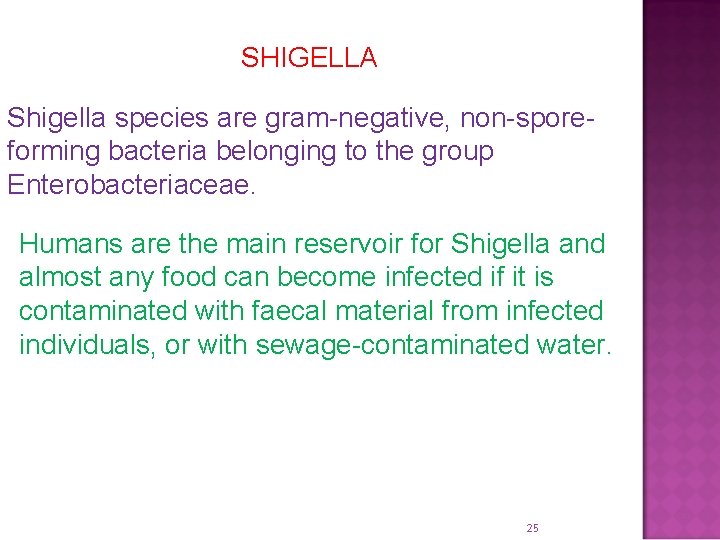 SHIGELLA Shigella species are gram-negative, non-sporeforming bacteria belonging to the group Enterobacteriaceae. Humans are