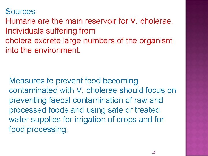 Sources Humans are the main reservoir for V. cholerae. Individuals suffering from cholera excrete