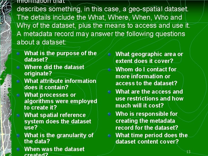 information that describes something, in this case, a geo-spatial dataset. The details include the