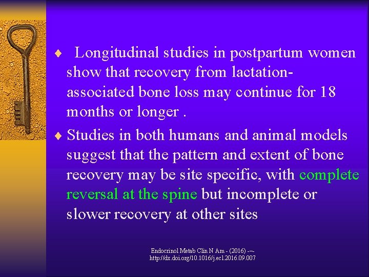 ¨ Longitudinal studies in postpartum women show that recovery from lactationassociated bone loss may