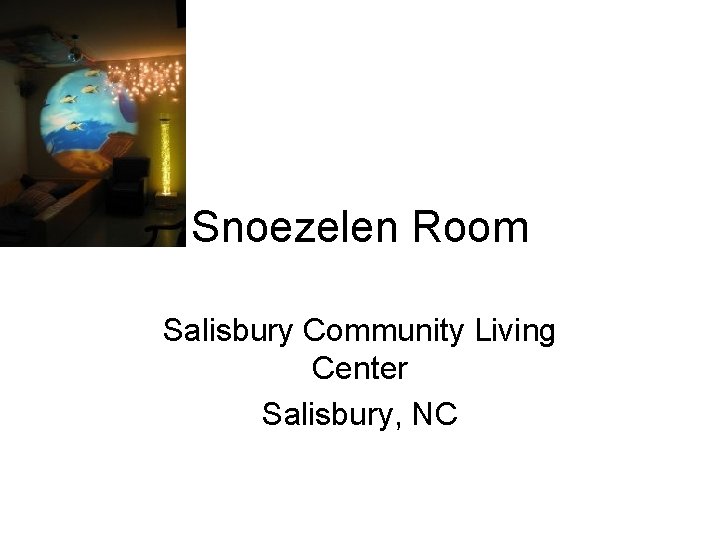 Snoezelen Room Salisbury Community Living Center Salisbury, NC 