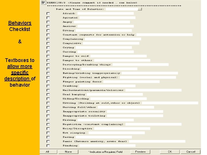 Behaviors Checklist & Textboxes to allow more specific description of behavior 