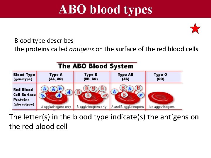 ABO blood types Blood type describes the proteins called antigens on the surface of
