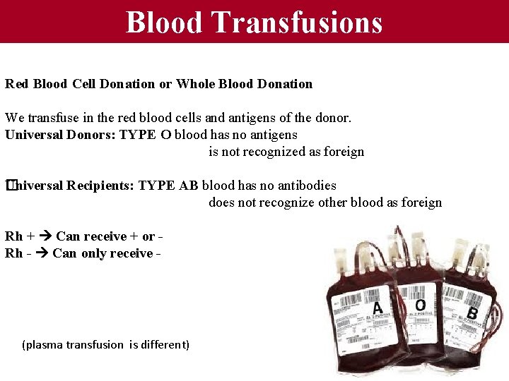 Blood Transfusions Red Blood Cell Donation or Whole Blood Donation We transfuse in the