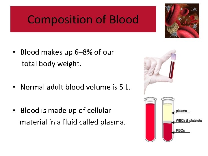 Composition of Blood • Blood makes up 6– 8% of our total body weight.