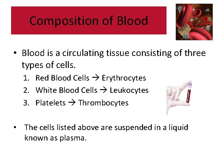 Composition of Blood • Blood is a circulating tissue consisting of three types of