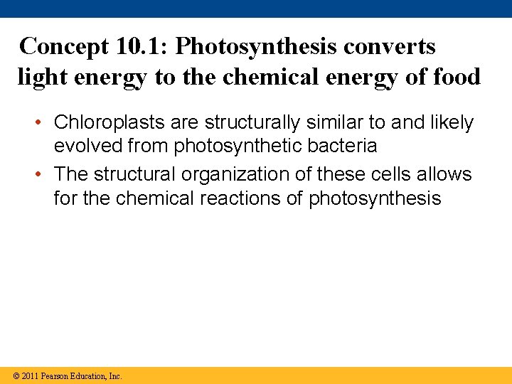 Concept 10. 1: Photosynthesis converts light energy to the chemical energy of food •