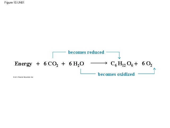 Figure 10. UN 01 becomes reduced Energy 6 CO 2 6 H 2 O