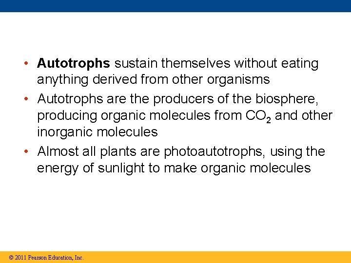  • Autotrophs sustain themselves without eating anything derived from other organisms • Autotrophs
