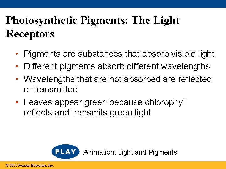 Photosynthetic Pigments: The Light Receptors • Pigments are substances that absorb visible light •