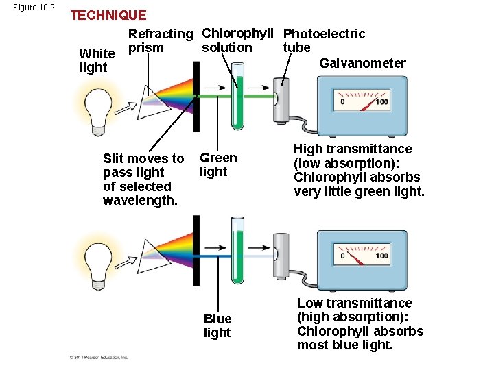 Figure 10. 9 TECHNIQUE Refracting Chlorophyll Photoelectric solution tube White prism Galvanometer light Slit