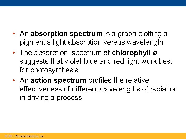  • An absorption spectrum is a graph plotting a pigment’s light absorption versus