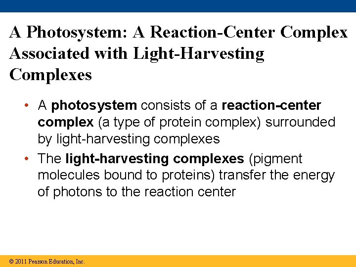A Photosystem: A Reaction-Center Complex Associated with Light-Harvesting Complexes • A photosystem consists of