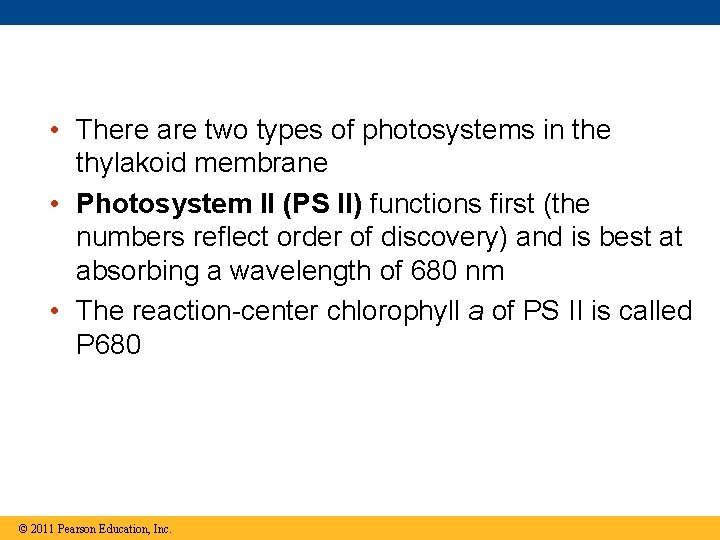  • There are two types of photosystems in the thylakoid membrane • Photosystem