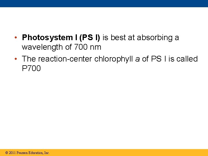  • Photosystem I (PS I) is best at absorbing a wavelength of 700