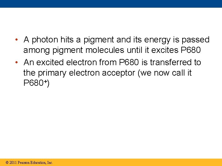  • A photon hits a pigment and its energy is passed among pigment