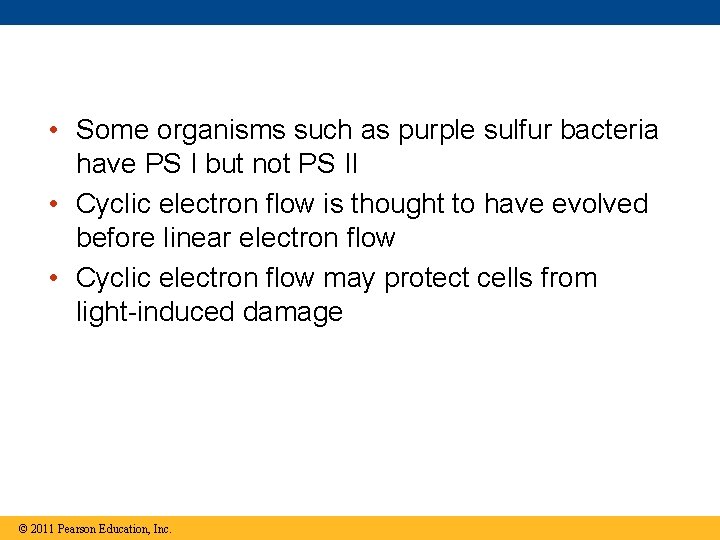  • Some organisms such as purple sulfur bacteria have PS I but not