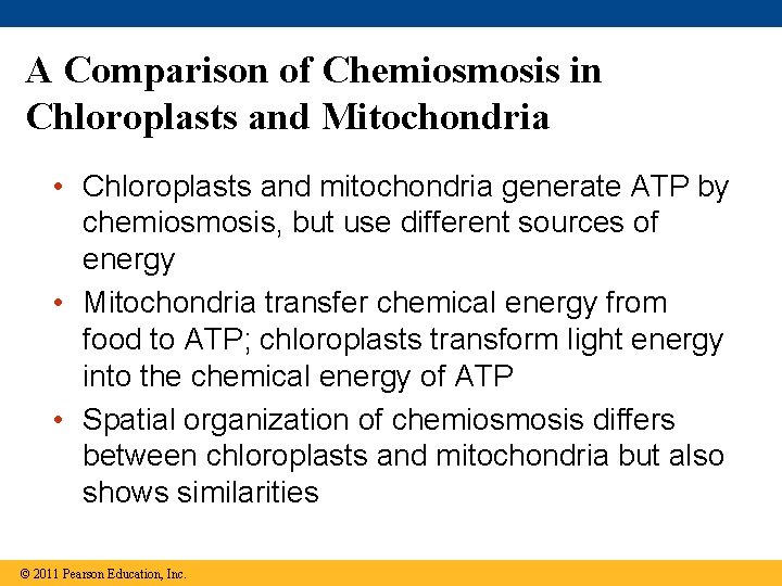 A Comparison of Chemiosmosis in Chloroplasts and Mitochondria • Chloroplasts and mitochondria generate ATP