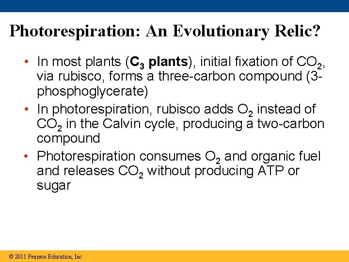 Photorespiration: An Evolutionary Relic? • In most plants (C 3 plants), initial fixation of