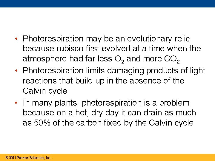  • Photorespiration may be an evolutionary relic because rubisco first evolved at a