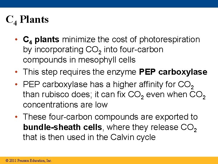 C 4 Plants • C 4 plants minimize the cost of photorespiration by incorporating