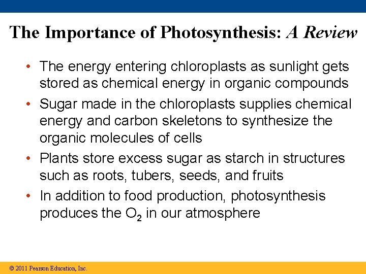 The Importance of Photosynthesis: A Review • The energy entering chloroplasts as sunlight gets