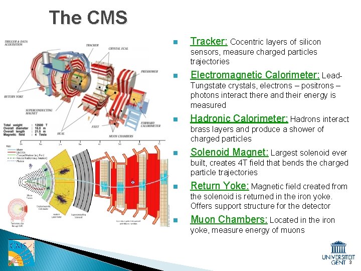 The CMS n Tracker: Cocentric layers of silicon sensors, measure charged particles trajectories n