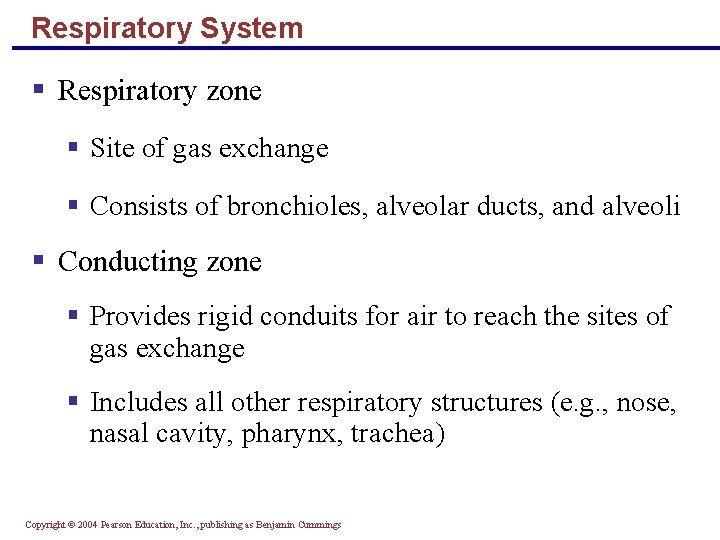 Respiratory System § Respiratory zone § Site of gas exchange § Consists of bronchioles,