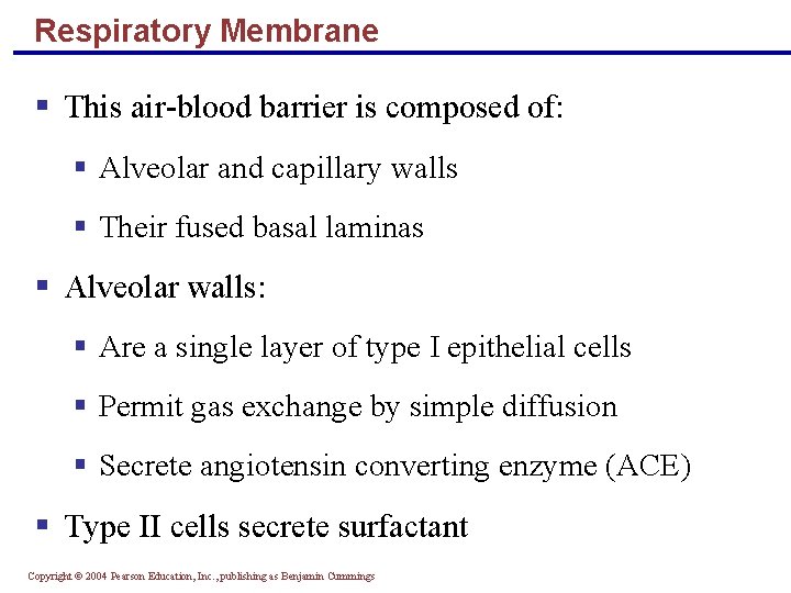 Respiratory Membrane § This air-blood barrier is composed of: § Alveolar and capillary walls