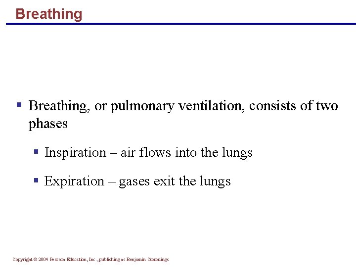 Breathing § Breathing, or pulmonary ventilation, consists of two phases § Inspiration – air