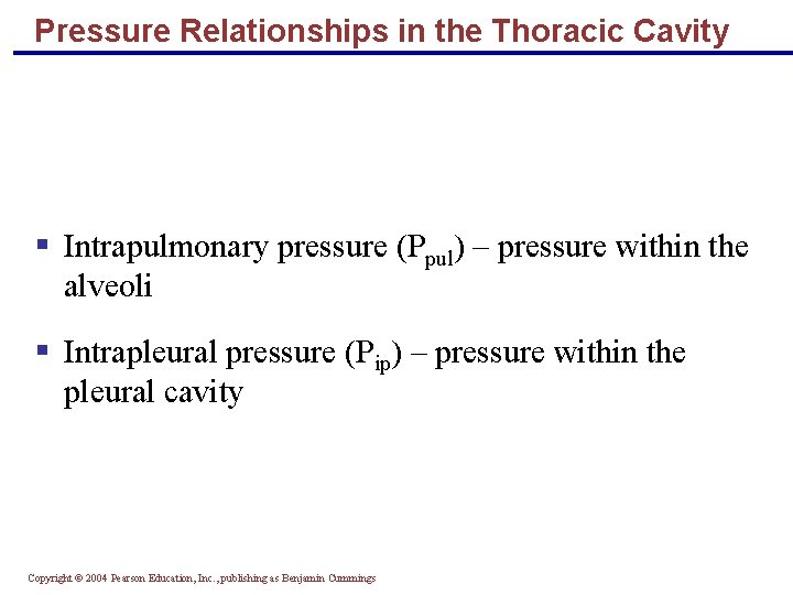 Pressure Relationships in the Thoracic Cavity § Intrapulmonary pressure (Ppul) – pressure within the