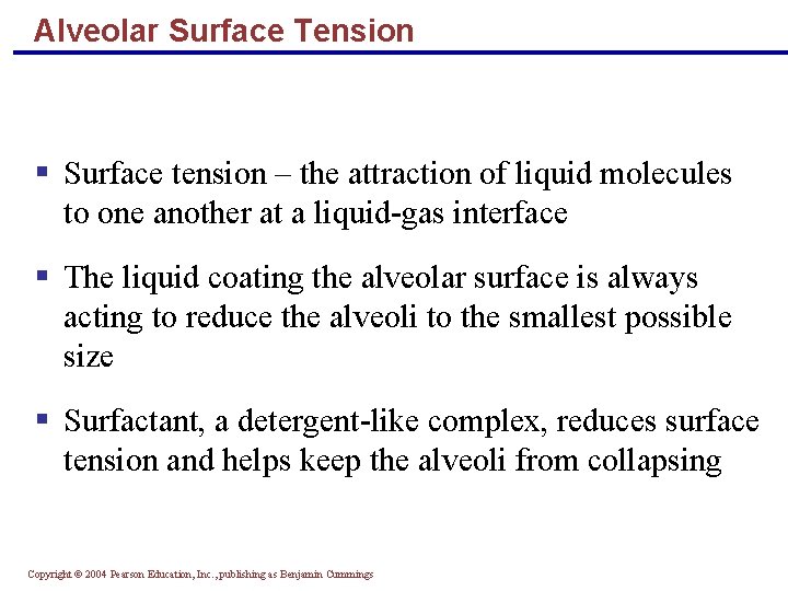 Alveolar Surface Tension § Surface tension – the attraction of liquid molecules to one