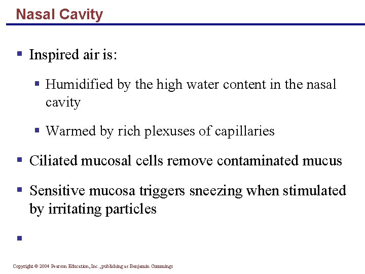 Nasal Cavity § Inspired air is: § Humidified by the high water content in