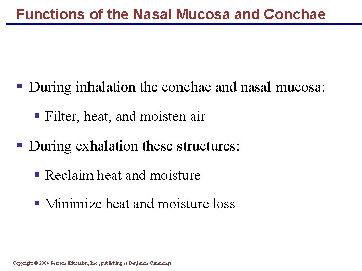 Functions of the Nasal Mucosa and Conchae § During inhalation the conchae and nasal